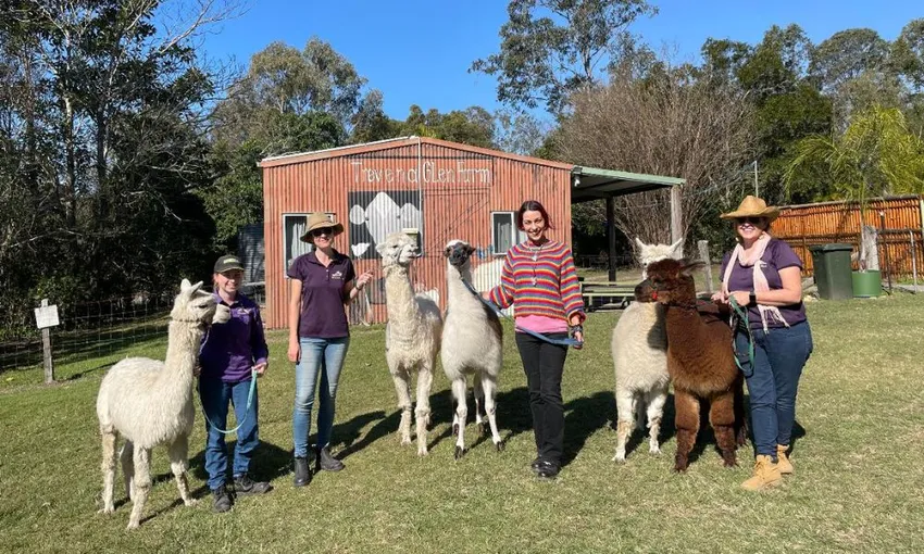 Half Day Animal Tour at Trevena Glen
