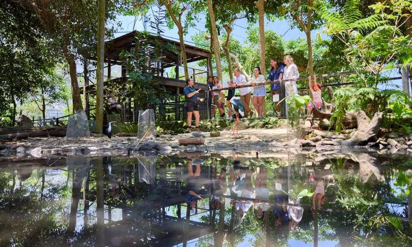 Crocodile Feeding With Park Entry, 30 Minutes - Port Douglas