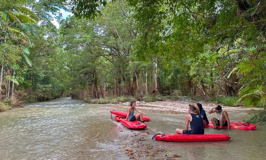 Mossman Gorge River Drift Experience |Book Now | Experience Oz