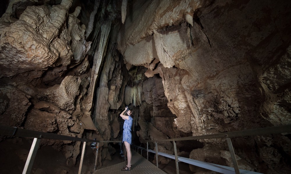 Cutta Cutta Caves Guided Walking Tour, 1 Hour