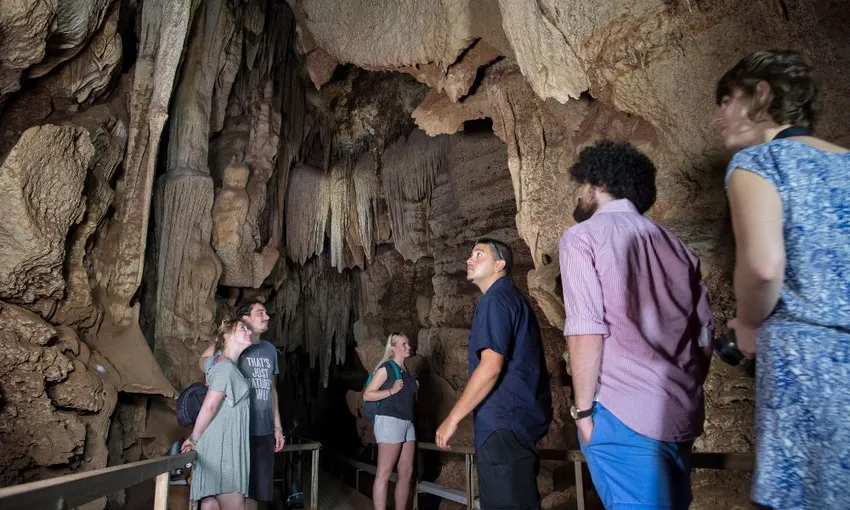 Cutta Cutta Caves Guided Walking Tour, 1 Hour