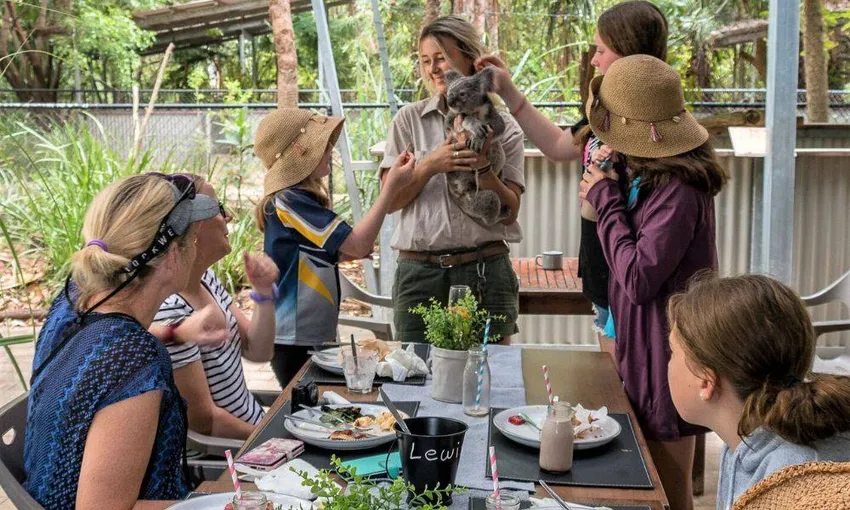 Magnetic Island Meet and Greet Breakfast with Koalas | Experience OZ