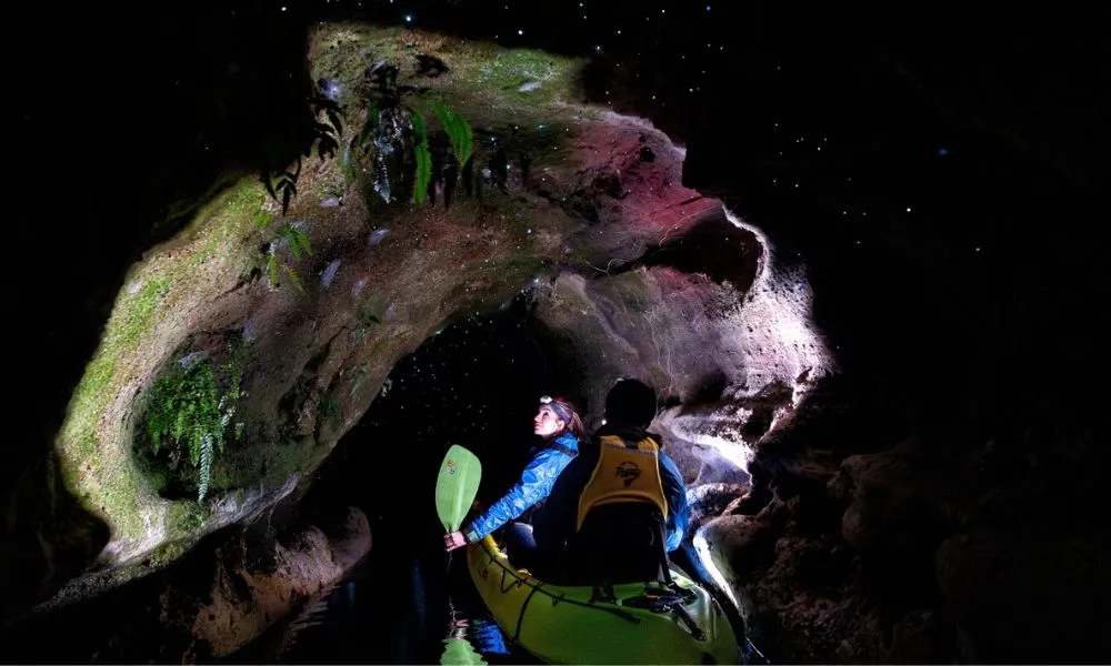 Rotorua Lakes Glow Worm Kayak Night Tour - Book Now | Experience OZ-5