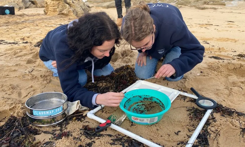 Melbourne Dolphin & Seal Cruise - Book Now | Experience Oz-9