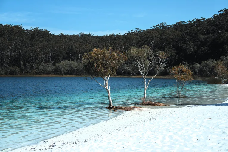 K’gari Fraser Island Tour, Full Day - Rainbow Beach