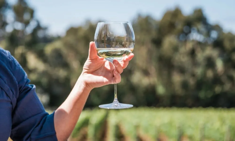 Mornington Peninsula Half Day Wine & Wellness Escape | Experience OZ-3