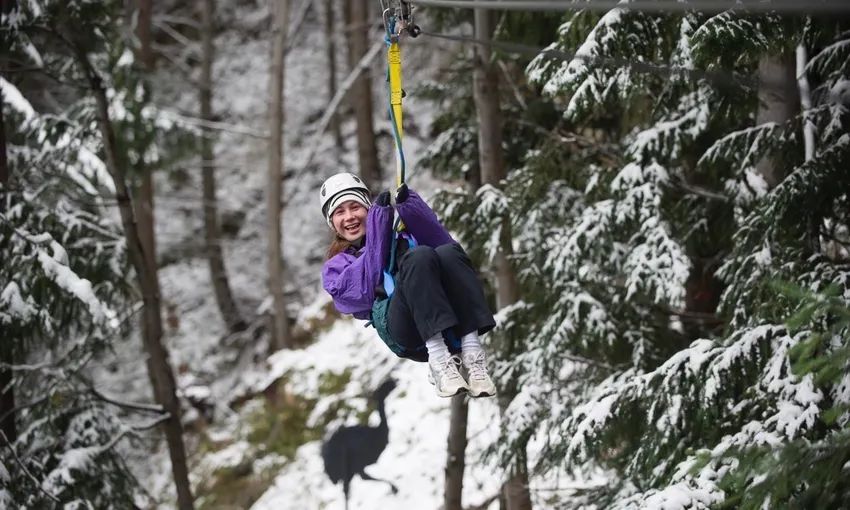 Moa Zipline Tour, 90 Minutes - Queenstown
