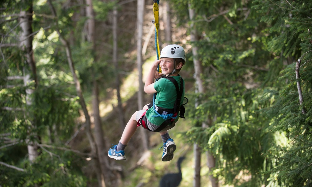 4-Line Ziplining Tour in Queenstown