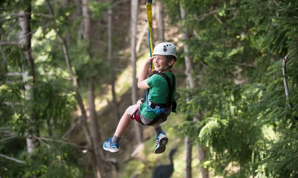 4-Line Ziplining Tour in Queenstown