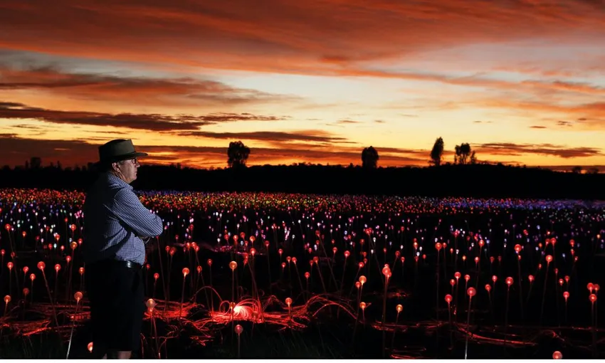 Uluru Sunrise and Field of Light Tour | Experience OZ