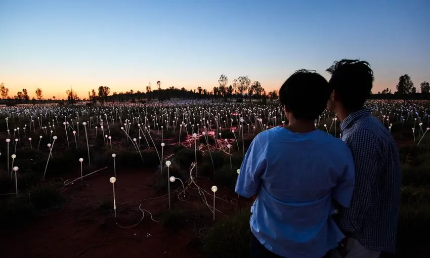 Uluru Sunrise and Field of Light Tour | Experience OZ