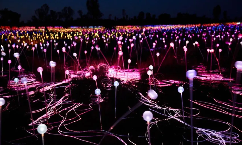 Uluru Sunrise and Field of Light Tour | Experience OZ
