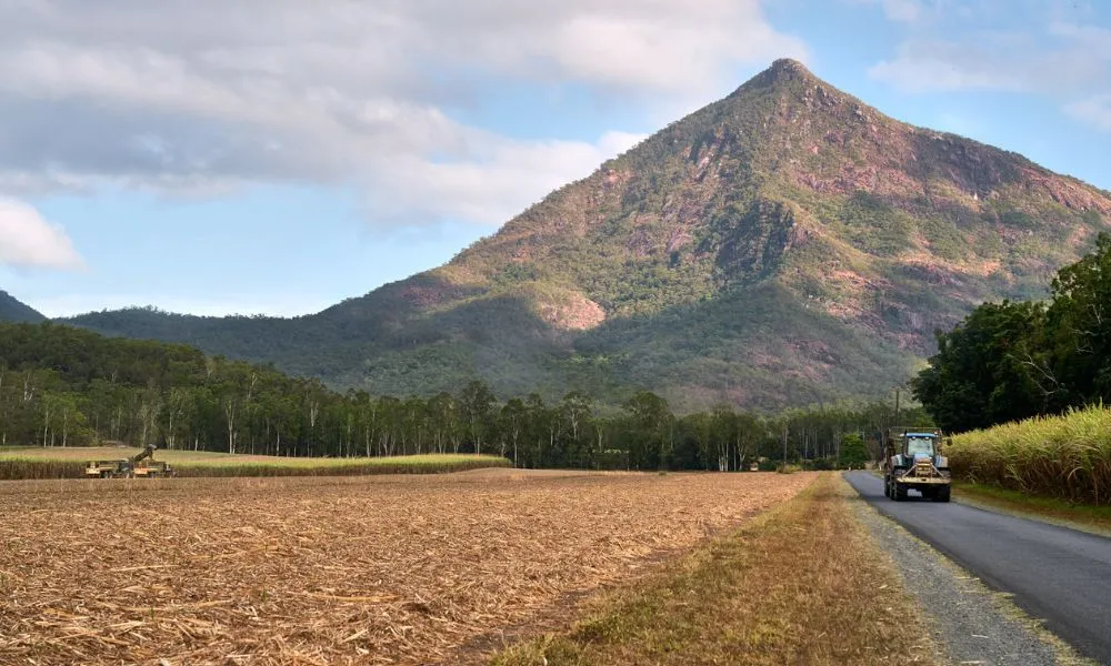 Cairns Waterfalls Explorer Half Day Tour | Experience OZ-2