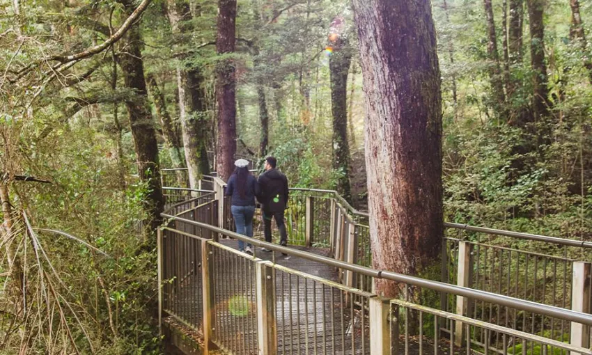 Milford Sound Extended Tour from Te Anau - Full Day