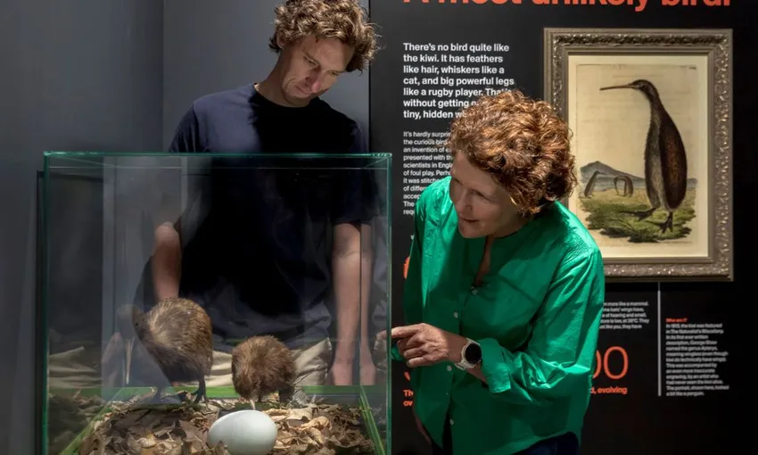 National Kiwi Hatchery Experience