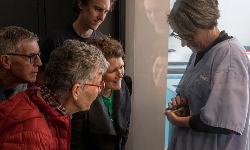 National Kiwi Hatchery Experience