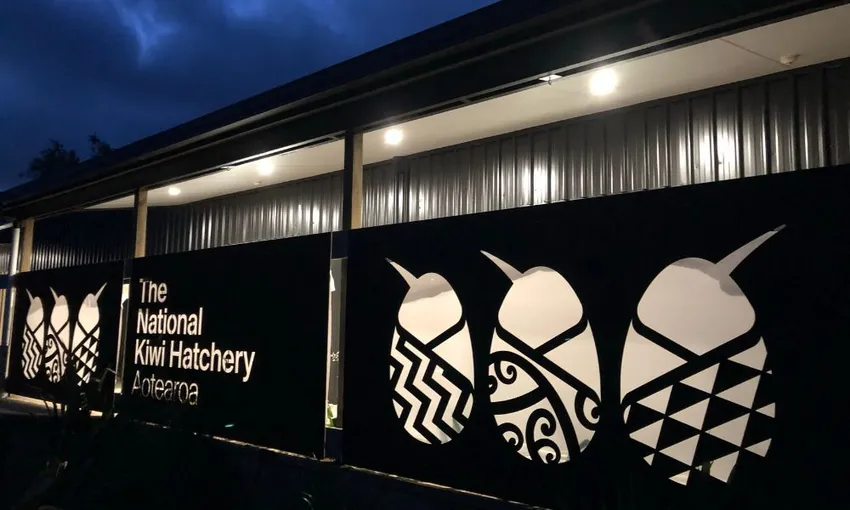 National Kiwi Hatchery Experience