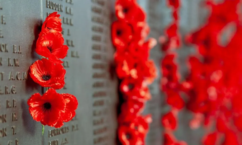 Private Canberra Scenes Tour - Book Now | Experience Oz-3