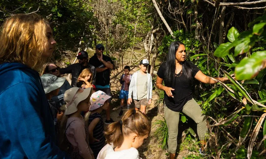 Private Aboriginal Tour in Byron Bay region