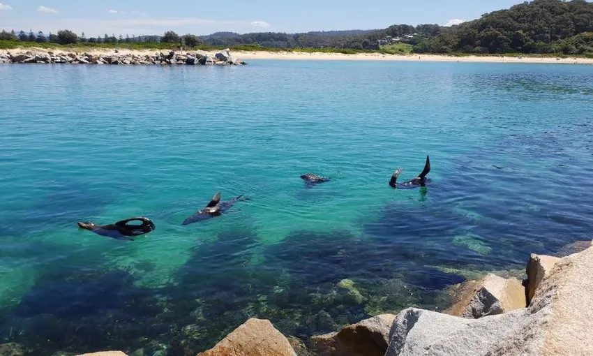 Yuin Cultural Stories on Self Guided E-Bike Tour | Experience Oz