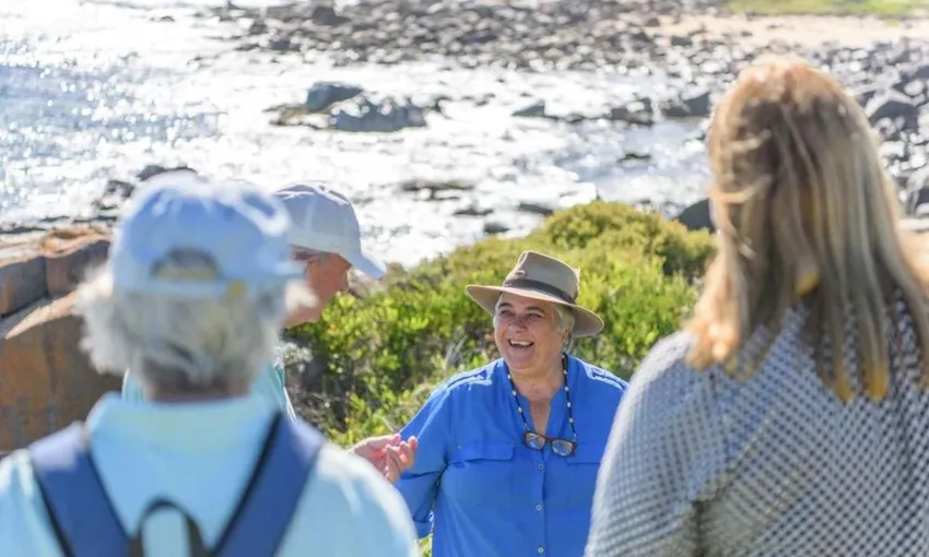 Bingi Dreaming Track Cultural Walk with Yuin Knowledge Holder | Experience Oz