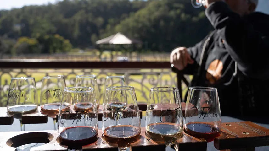 Hot Air Balloon Flight with Breakfast & Alpacas | Experience Oz