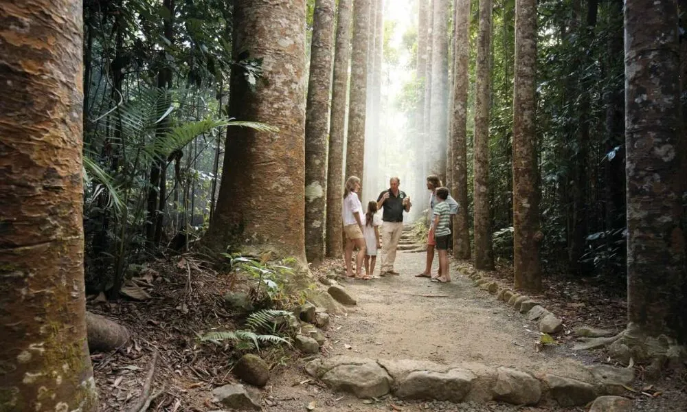 Paronella Park General Admission - Buy Now | Experience Oz-8