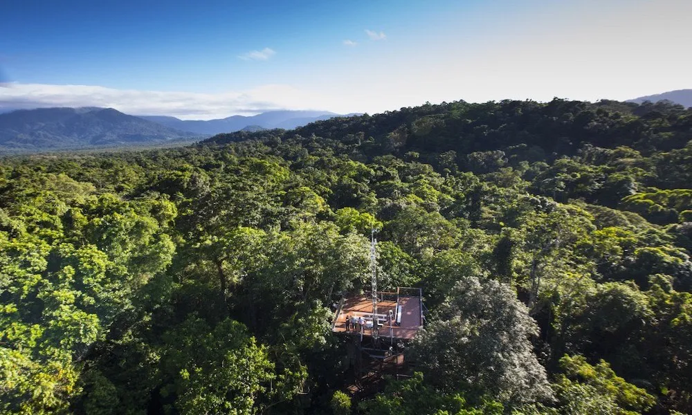 Daintree Rainforest Discovery Centre Tickets - Book Now | Experience Oz-2