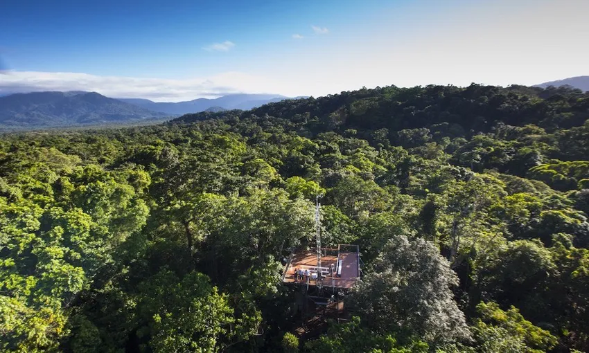 Daintree Rainforest Discovery Centre Tickets - Book Now | Experience Oz