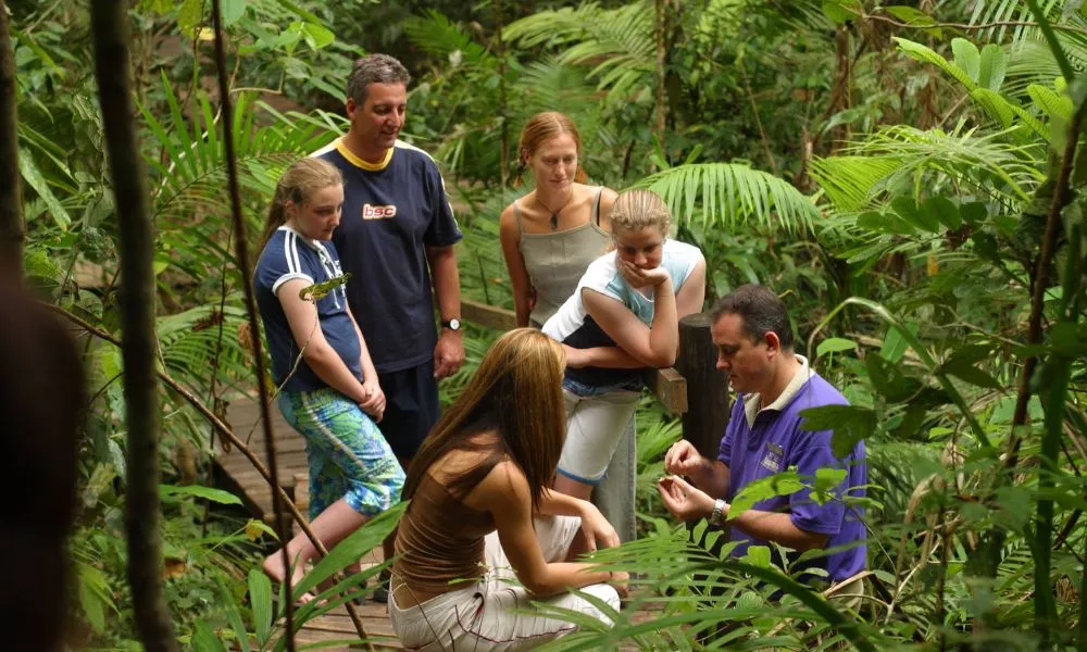 Daintree Rainforest Discovery Centre Tickets - Book Now | Experience Oz-5
