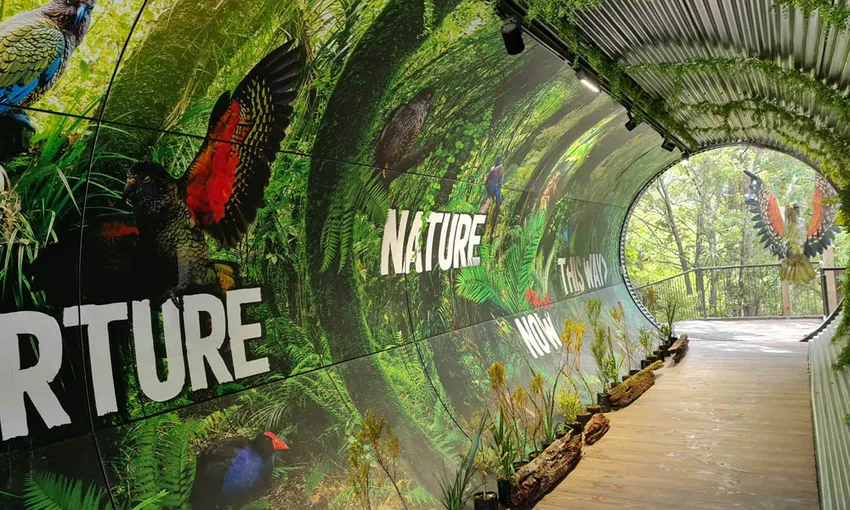 Kiwi Park Queenstown | Experience Oz + NZ