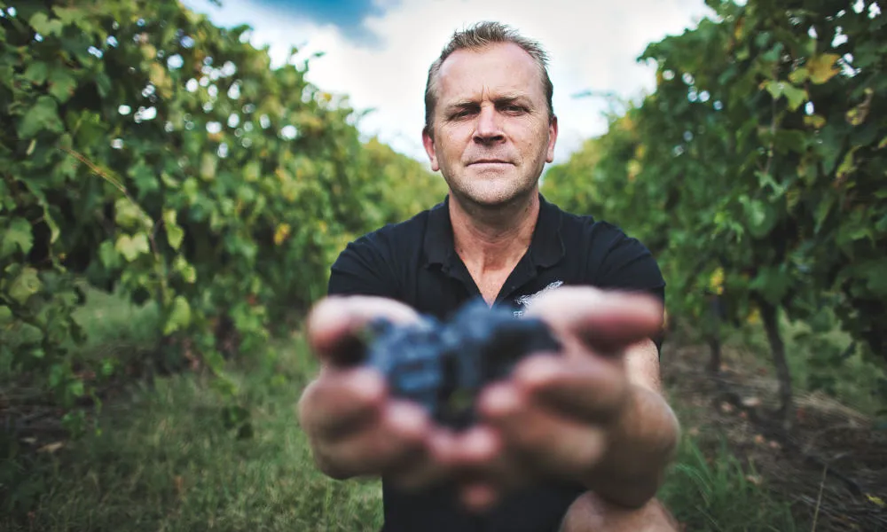 Picnic at the Feathertop Winery - Book Now | Experience Oz-3