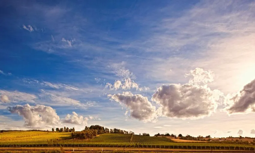 Josefy Chromy Winery Tour and Blending Experience | Experience Oz