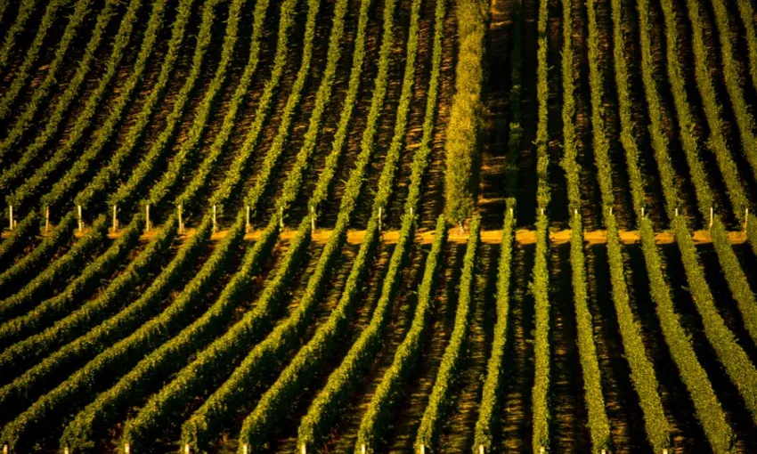 Josefy Chromy Winery Tour and Blending Experience | Experience Oz