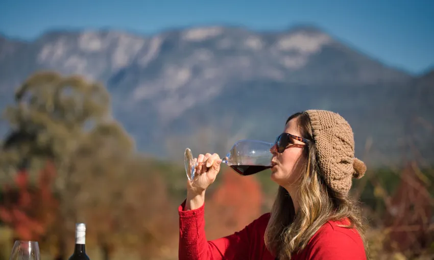 Melbourne Feathertop Winery Tour - Book Now | Experience Oz