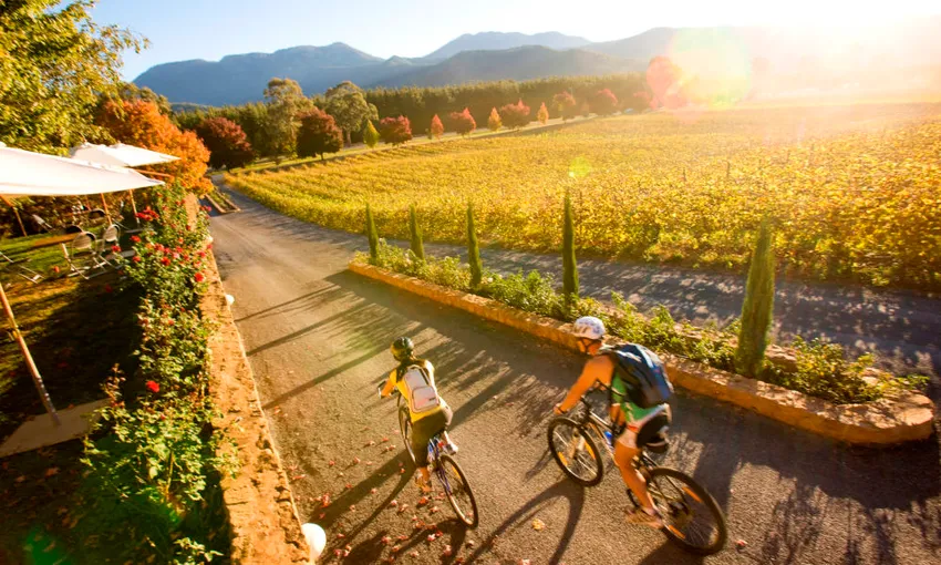 Melbourne Feathertop Winery Tour - Book Now | Experience Oz