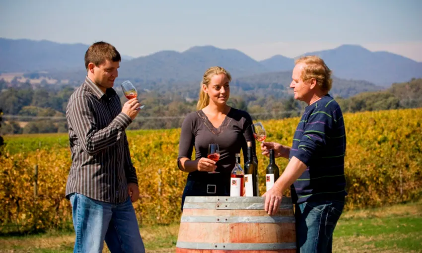 Pizzini Winery Food and Wine Tasting Tour | Experience Oz