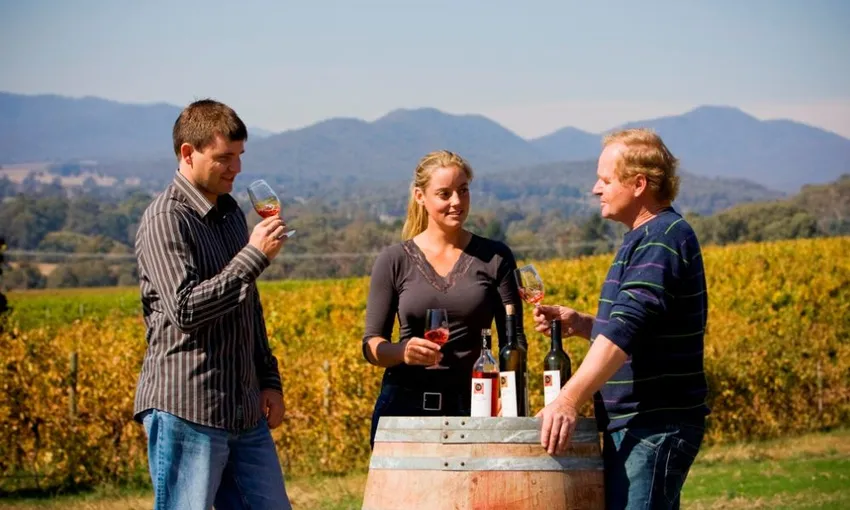Pizzini Winery Guided Wine Tasting Tour | Experience Oz