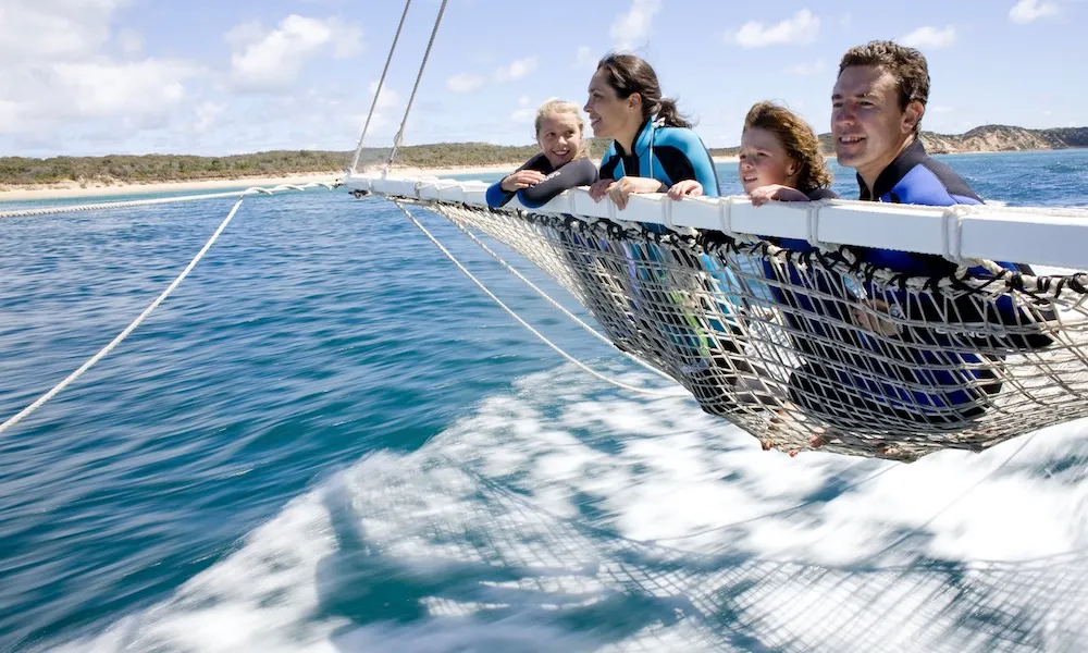 Melbourne Dolphin Swim Day Tour | Experience Oz-2