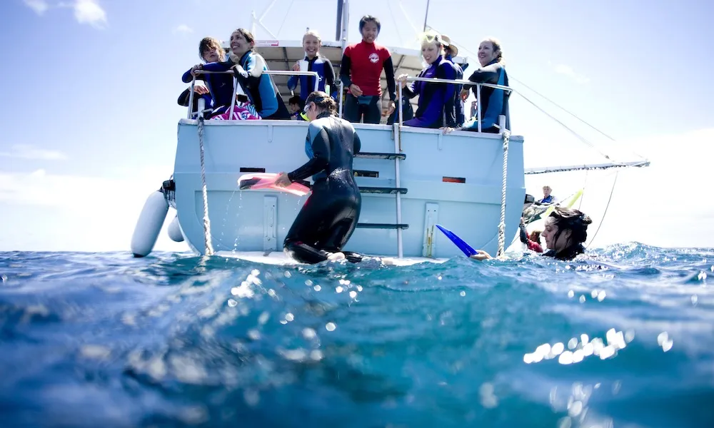 Melbourne Dolphin Swim Day Tour | Experience Oz-4