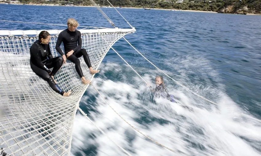 Melbourne Dolphin Swim Day Tour | Experience Oz