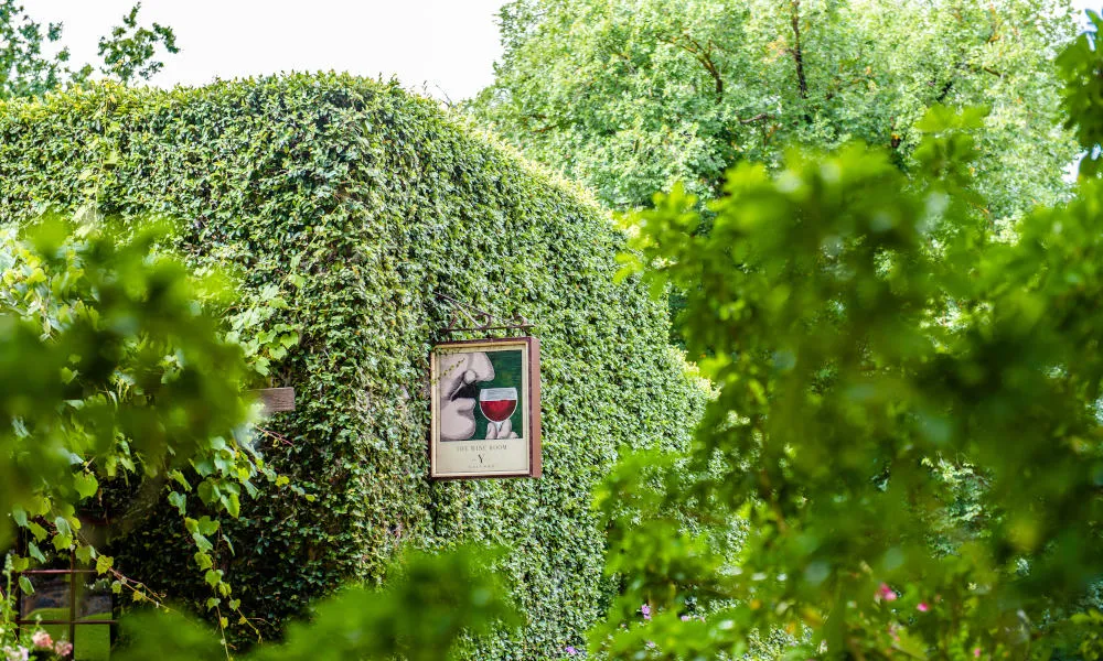 Yalumba Barossa Valley Wine Tasting Tour | Experience Oz-6