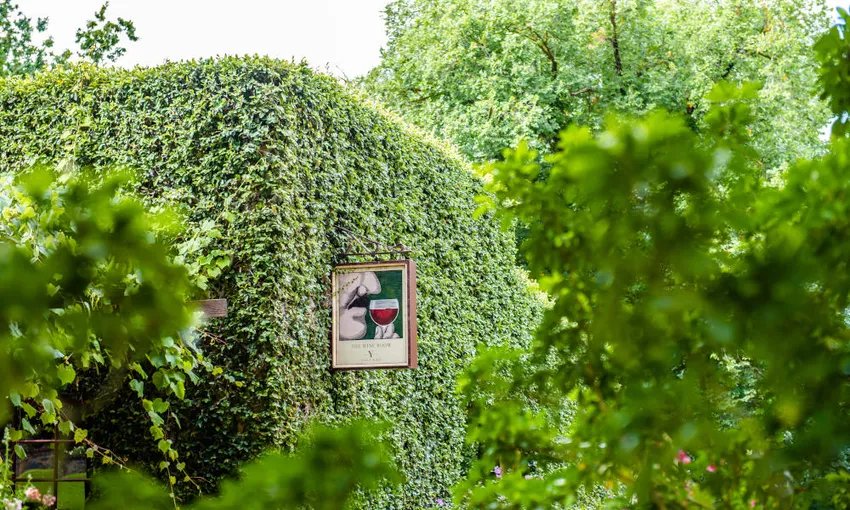 Yalumba Barossa Valley Wine Tasting Tour | Experience Oz