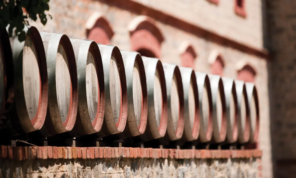 Yalumba Barossa Valley Winery Tour & Lunch | Experience Oz-3