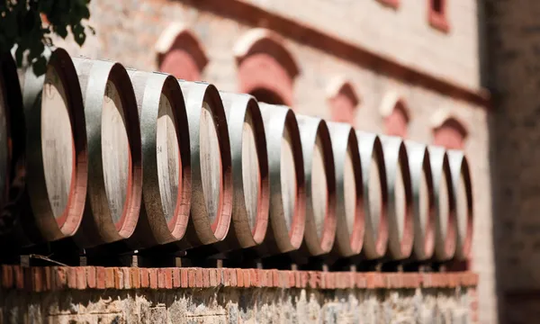 Yalumba Signature Winery Tour & Lunch