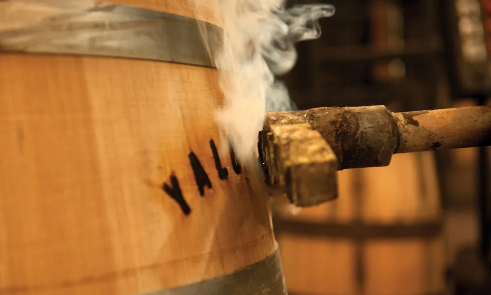 Yalumba Barossa Valley Winery Tour & Lunch | Experience Oz-5