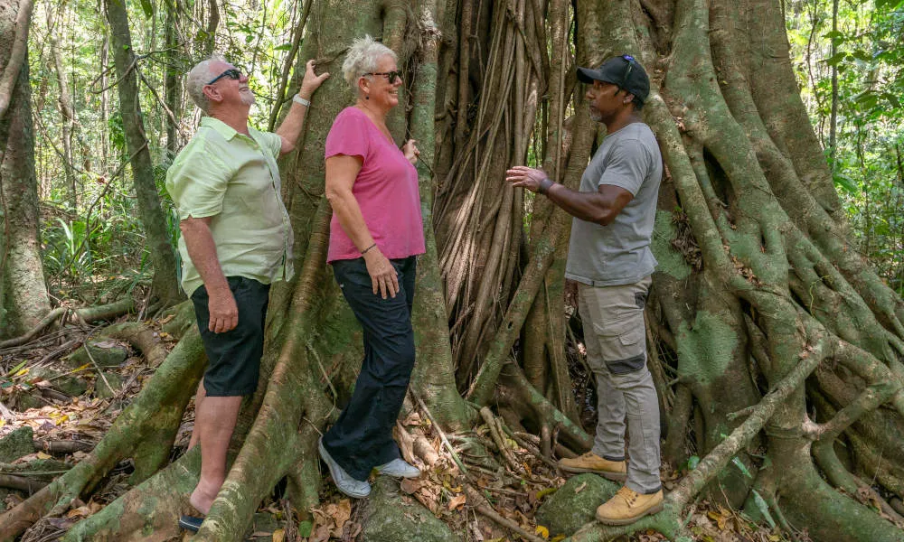 Private Daintree River to Cape Tribulation Tour | Experience Oz-1