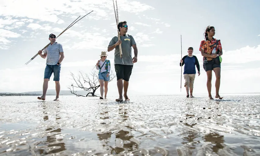 Private Daintree River to Cape Tribulation Tour | Experience Oz