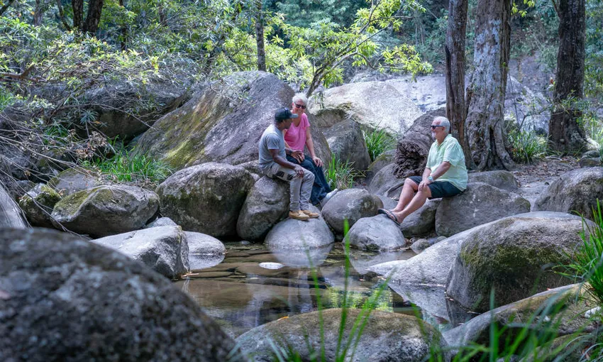 Private Daintree River to Cape Tribulation Tour | Experience Oz