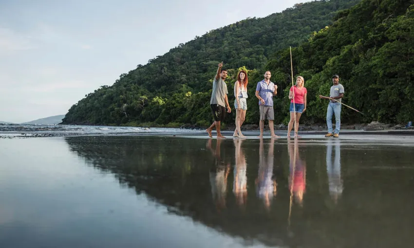 Private Daintree River to Cape Tribulation Tour | Experience Oz